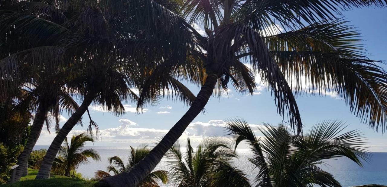 Appartamento Casa Papagayo Santa Cruz de Tenerife Esterno foto